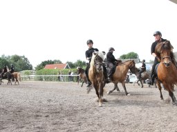 IMG_1287_web